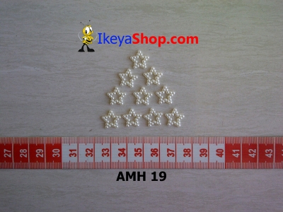 AMH 19  large2